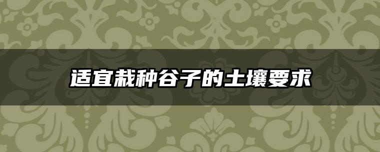 适宜栽种谷子的土壤要求