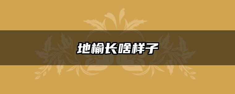 地榆长啥样子