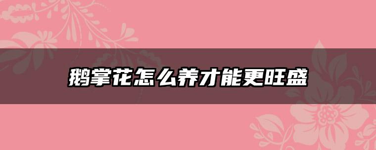 鹅掌花怎么养才能更旺盛