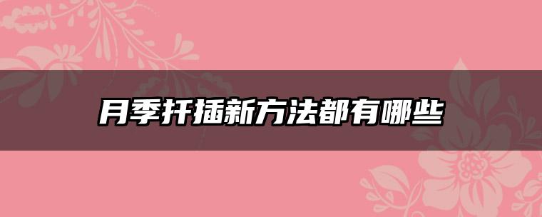 月季扦插新方法都有哪些