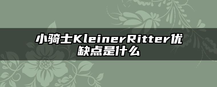 小骑士KleinerRitter优缺点是什么