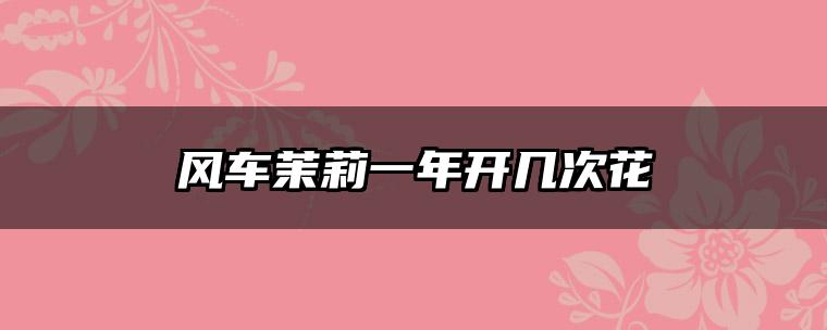 风车茉莉一年开几次花