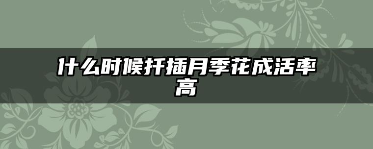 什么时候扦插月季花成活率高
