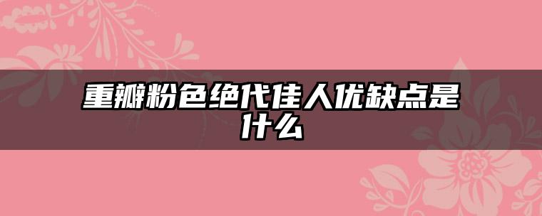 重瓣粉色绝代佳人优缺点是什么