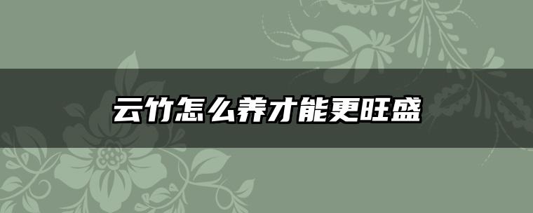 云竹怎么养才能更旺盛