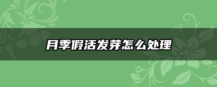 月季假活发芽怎么处理