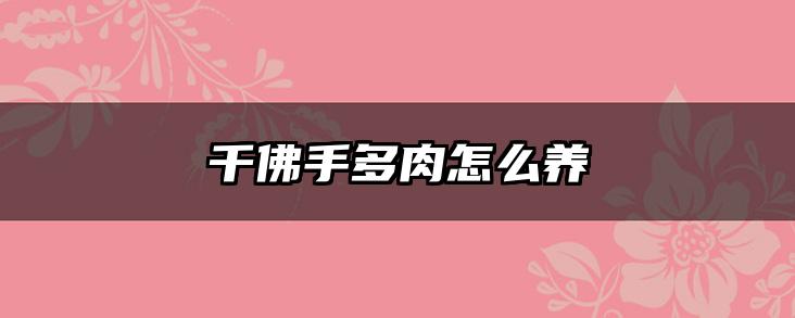 千佛手多肉怎么养