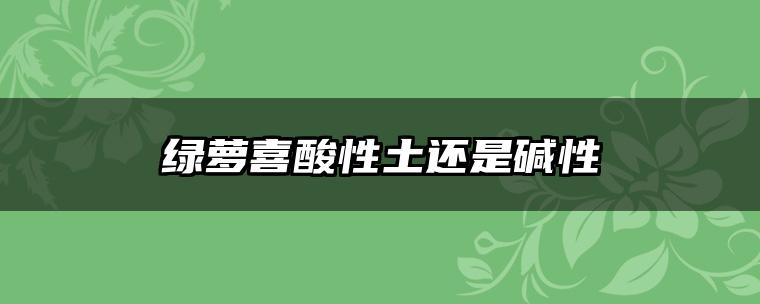 绿萝喜酸性土还是碱性