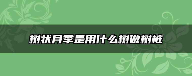 树状月季是用什么树做树桩