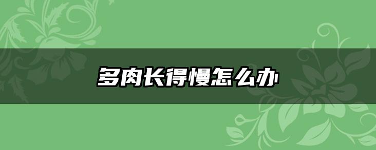 多肉长得慢怎么办