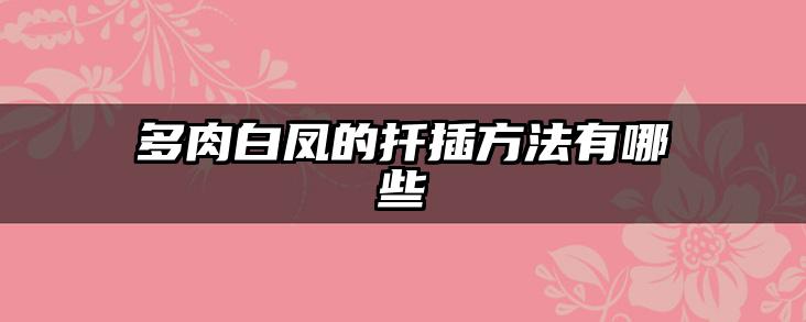 多肉白凤的扦插方法有哪些