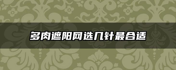 多肉遮阳网选几针最合适