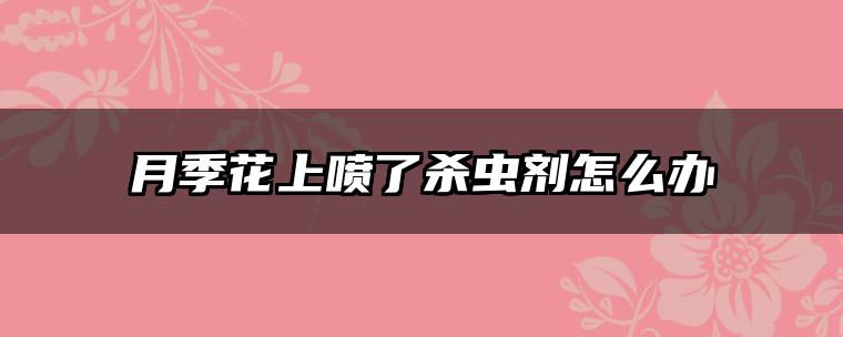 月季花上喷了杀虫剂怎么办