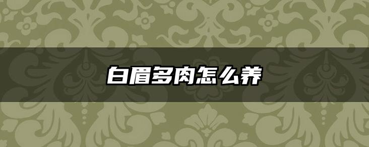 白眉多肉怎么养