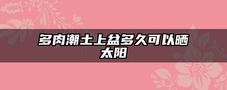 多肉潮土上盆多久可以晒太阳