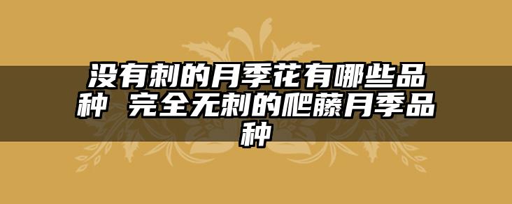 没有刺的月季花有哪些品种 完全无刺的爬藤月季品种