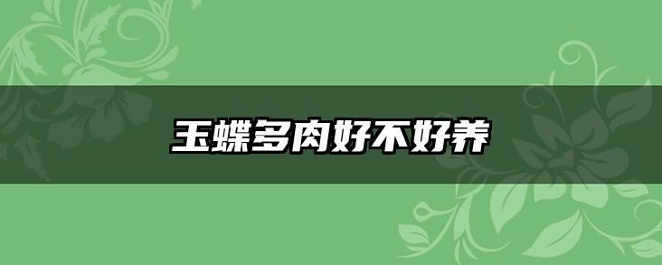 玉蝶多肉好不好养