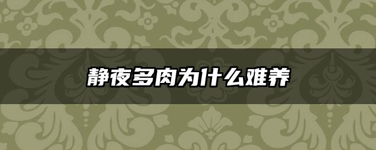 静夜多肉为什么难养