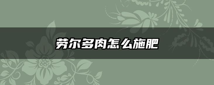 劳尔多肉怎么施肥