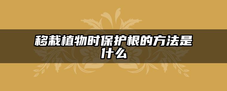移栽植物时保护根的方法是什么