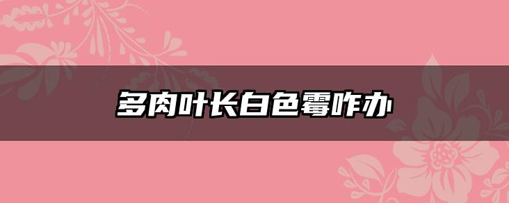 多肉叶长白色霉咋办