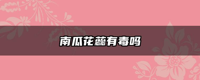 南瓜花蕊有毒吗