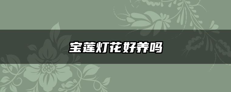 宝莲灯花好养吗