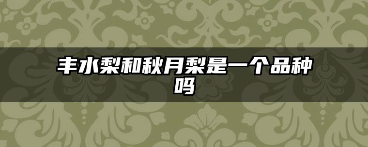 丰水梨和秋月梨是一个品种吗