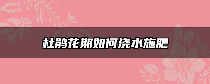杜鹃花期如何浇水施肥