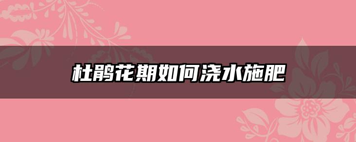 杜鹃花期如何浇水施肥