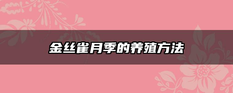 金丝雀月季的养殖方法