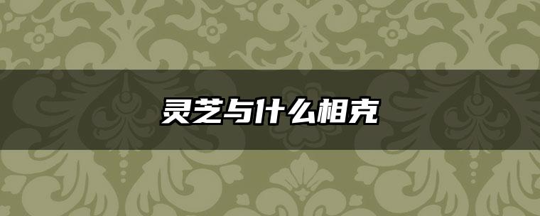 灵芝与什么相克