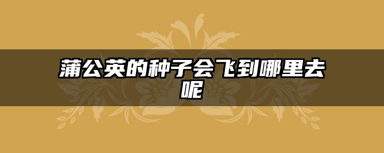 蒲公英的种子会飞到哪里去呢