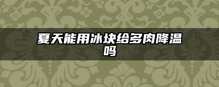 夏天能用冰块给多肉降温吗
