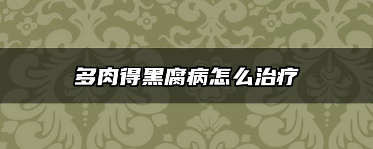 多肉得黑腐病怎么治疗