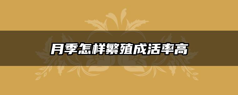 月季怎样繁殖成活率高