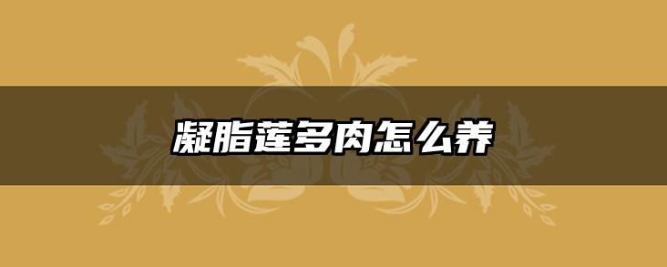 凝脂莲多肉怎么养