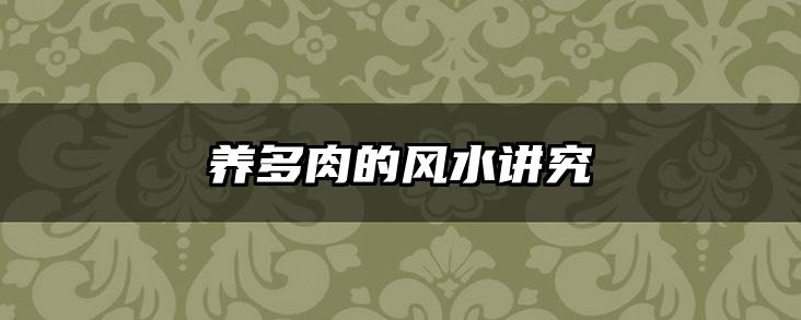 养多肉的风水讲究