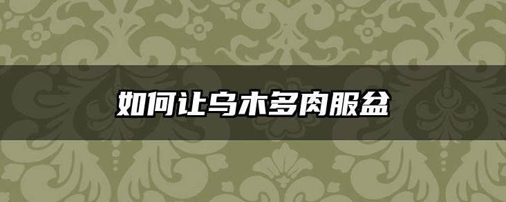如何让乌木多肉服盆