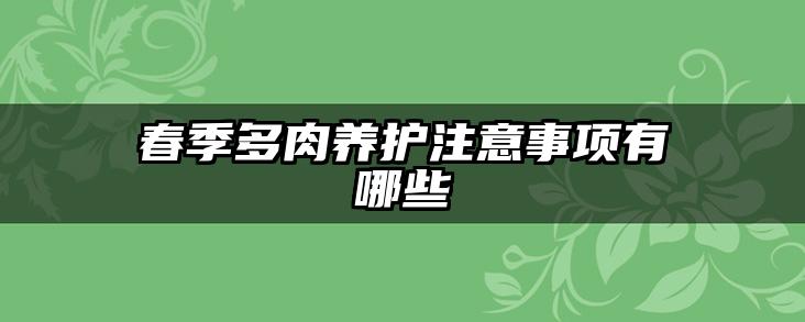 春季多肉养护注意事项有哪些