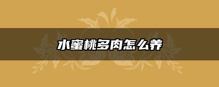 水蜜桃多肉怎么养