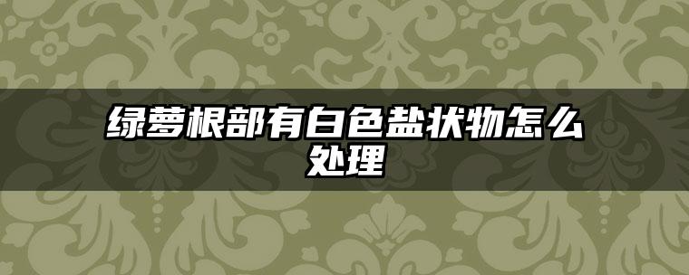 绿萝根部有白色盐状物怎么处理