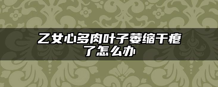 乙女心多肉叶子萎缩干瘪了怎么办