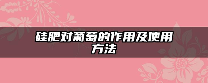 硅肥对葡萄的作用及使用方法