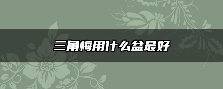 三角梅用什么盆最好