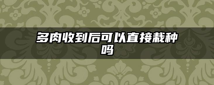多肉收到后可以直接栽种吗