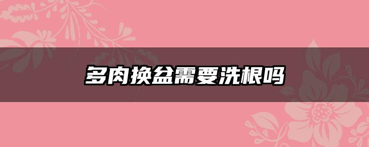多肉换盆需要洗根吗