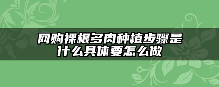 网购裸根多肉种植步骤是什么具体要怎么做