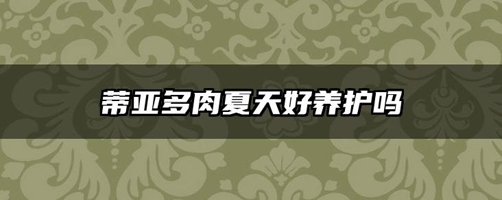 蒂亚多肉夏天好养护吗