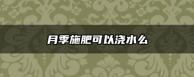 月季施肥可以浇水么